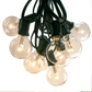 Hometown Evolution G40 LED 100 Foot Warm White String Light Set with Green Wire