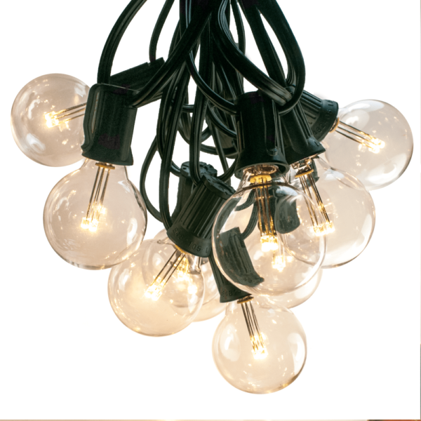 Hometown Evolution G40 LED 25 Foot Warm White String Light Set with Green Wire