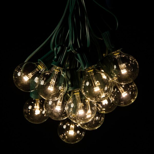 Hometown Evolution G40 LED 25 Foot Warm White String Light Set with Green Wire