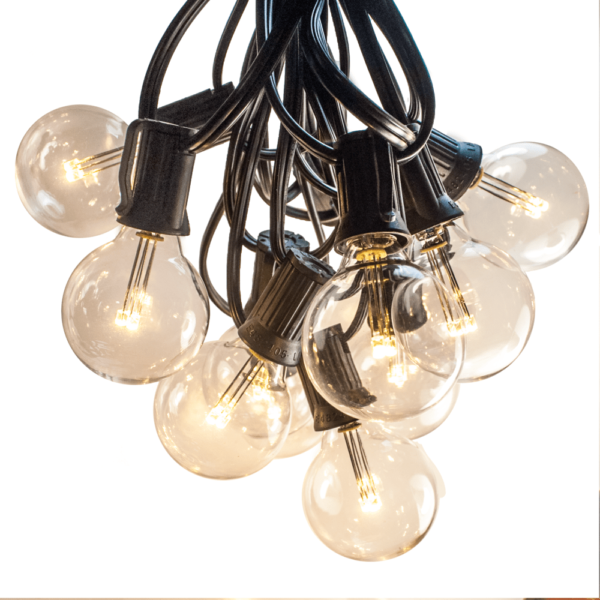 Hometown Evolution G40 LED 25 Foot Warm White String Light with Black Wire