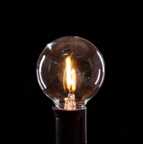 Hometown Evolution G40 LED Filament 10 Foot String Light Set with Black Wire