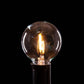 Hometown Evolution G40 LED Filament 10 Foot String Light Set with White Wire
