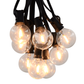 Hometown Evolution G40 LED Filament 25 Foot String Light Set with Black Wire