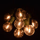 Hometown Evolution G40 LED Filament 25 Foot String Light Set with Green Wire