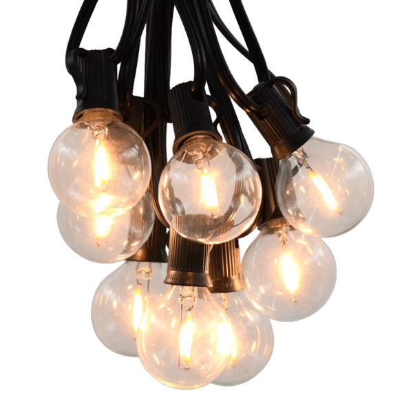 Hometown Evolution G40 LED Filament 50 Foot String Light Set with Black Wire