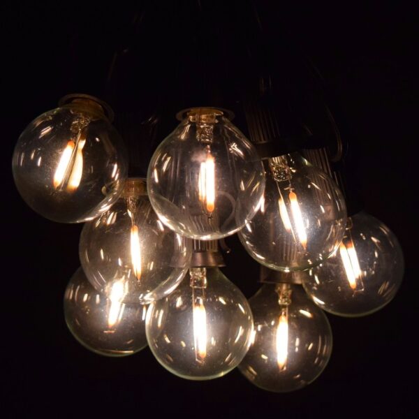 Hometown Evolution G40 LED Filament 50 Foot String Light Set with Black Wire