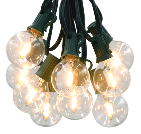 Hometown Evolution G40 LED Filament 50 Foot String Light Set with Green Wire