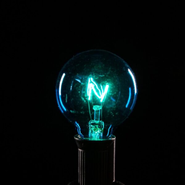 Hometown Evolution G40 Transparent Blue Light Bulb with C7-E12 Base (Box of 25)