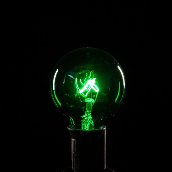 Hometown Evolution G40 Transparent Green Light Bulb with C7-E12 Base (Box of 25)