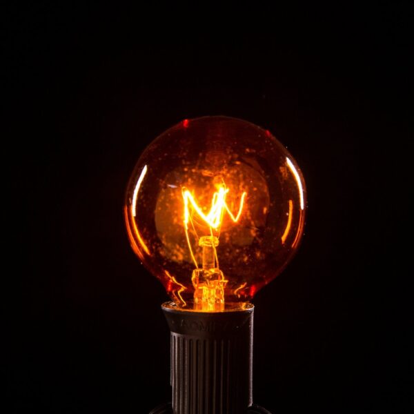 Hometown Evolution G40 Transparent Orange Light Bulb with C7-E12 Base (Box of 25)