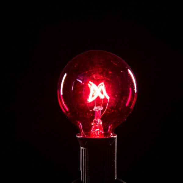 Hometown Evolution G40 Transparent Pink Light Bulb with C7-E12 Base (Box of 25)
