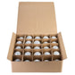 Hometown Evolution G40 White Satin Pearl Light Bulb with C7-E12 Base (Box of 25)