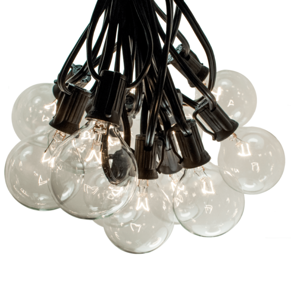 Hometown Evolution G50 10 Foot Clear String Light Set with Black Wire