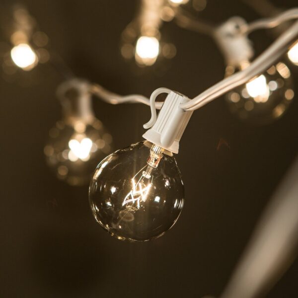 Hometown Evolution G50 10 Foot Clear String Light Set with White Wire