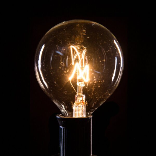 Hometown Evolution G50 10 Foot Clear String Light Set with White Wire