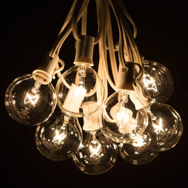 Hometown Evolution G50 10 Foot Clear String Light Set with White Wire