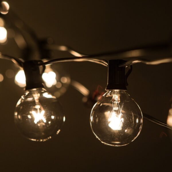 Hometown Evolution G50 100 Foot Clear String Light Set with Green Wire