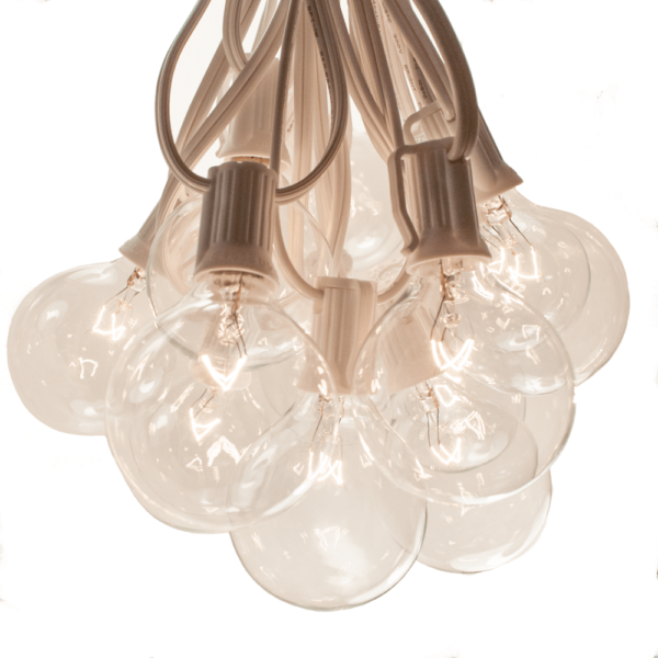 Hometown Evolution G50 100 Foot Clear String Light with White Wire