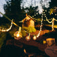 Hometown Evolution G50 25 Foot Clear String Light Set with Green Wire