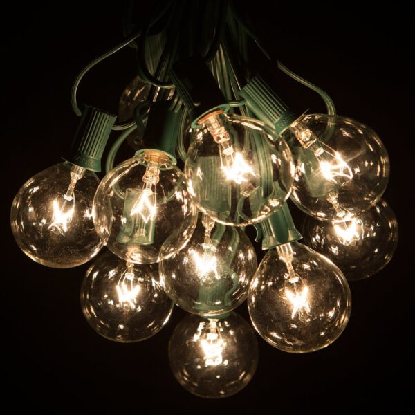 Hometown Evolution G50 25 Foot Clear String Light Set with Green Wire