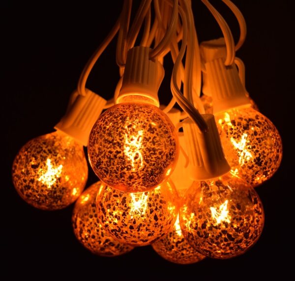 Hometown Evolution G50 25 Foot Mercury Gold String Light Set with White Wire