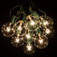 Hometown Evolution G50 50 Foot Clear String Light Set with Green Wire