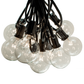 Hometown Evolution G50 50 Foot Clear String Light with Black Wire