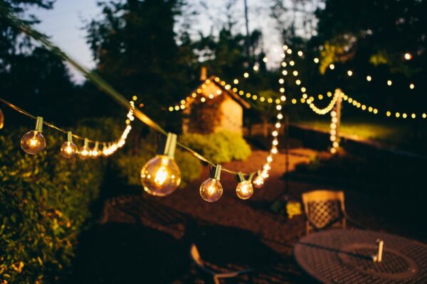 Hometown Evolution G50 50 Foot Clear String Light with Black Wire