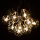 Hometown Evolution G50 50 Foot Clear String Light with Black Wire