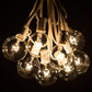 Hometown Evolution G50 50 Foot Clear String Light with White Wire