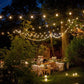 Hometown Evolution G50 50 Foot White Satin Pearl String Light Set with Green Wire