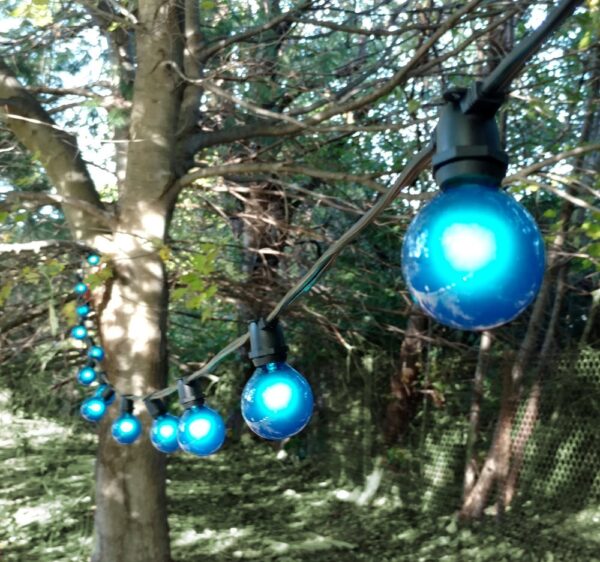 Hometown Evolution G50 Blue Satin Light Bulb with C9-E17 Base (Box of 25)