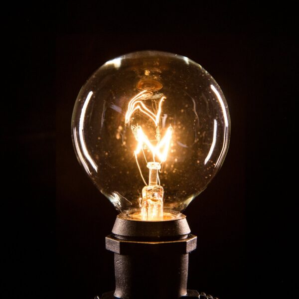Hometown Evolution G50 Clear Light Bulb with C9-E17 Base (Box of 20)