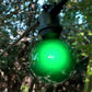 Hometown Evolution G50 Green Satin Light Bulb with C9-E17 Base (Box of 25)