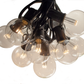 Hometown Evolution G50 LED 10 Foot Warm White String Light Set with Black Wire