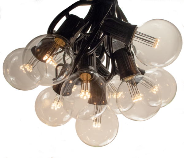 Hometown Evolution G50 LED 10 Foot Warm White String Light Set with Black Wire