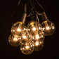 Hometown Evolution G50 LED 10 Foot Warm White String Light Set with Black Wire