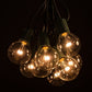 Hometown Evolution G50 LED 100 Foot Warm White String Light Set with Green Wire