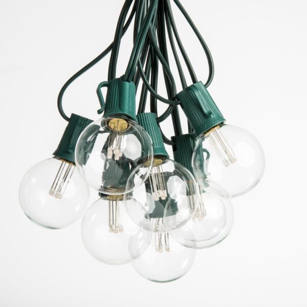 Hometown Evolution G50 LED 100 Foot Warm White String Light with Green Wire
