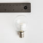 Hometown Evolution G50 LED 100 Foot Warm White String Light with White Wire