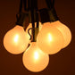 Hometown Evolution G50 LED 100 Foot White Satin Pearl String Light Set with Black Wire