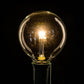 Hometown Evolution G50 LED 3-Diode Clear Light Bulb with C7-E12 Base (Box of 25)