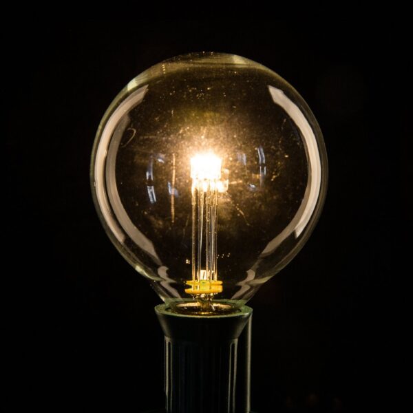 Hometown Evolution G50 LED 3-Diode Clear Light Bulb with C7-E12 Base (Box of 25)