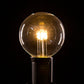 Hometown Evolution G50 LED 5-Diode Clear Light Bulb with C9-E17 Base (Box of 25)