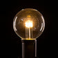 Hometown Evolution G50 LED 5-Diode Clear Light Bulb with C9-E17 Base