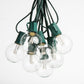 Hometown Evolution G50 LED 50 Foot Warm White String Light with Green Wire