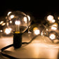 Hometown Evolution G50 LED 50 Foot Warm White String Light with Green Wire