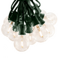 Hometown Evolution G50 LED Filament 100 Foot String Light Set with Green Wire