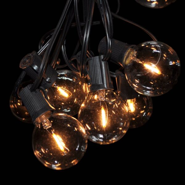 Hometown Evolution G50 LED Filament 25 Foot String Light Set with Black Wire