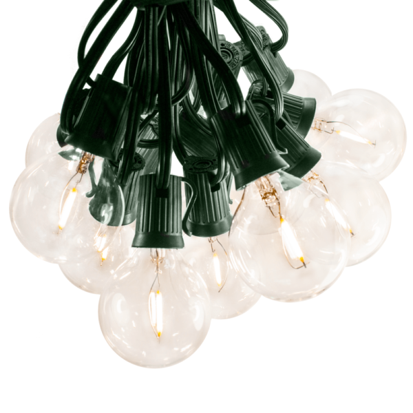 Hometown Evolution G50 LED Filament 50 Foot String Light Set with Green Wire